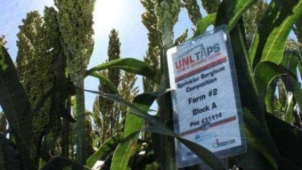 UNL TAPS sign in agriculture field