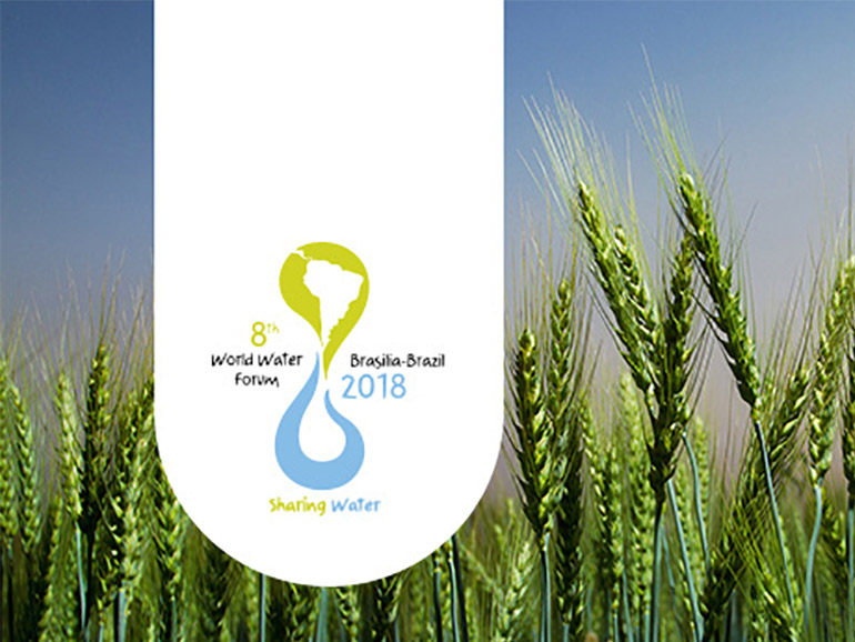 World Water Forum Banner