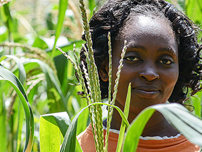 Person standing in corn field