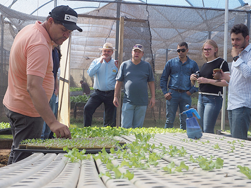 People looking at small plants