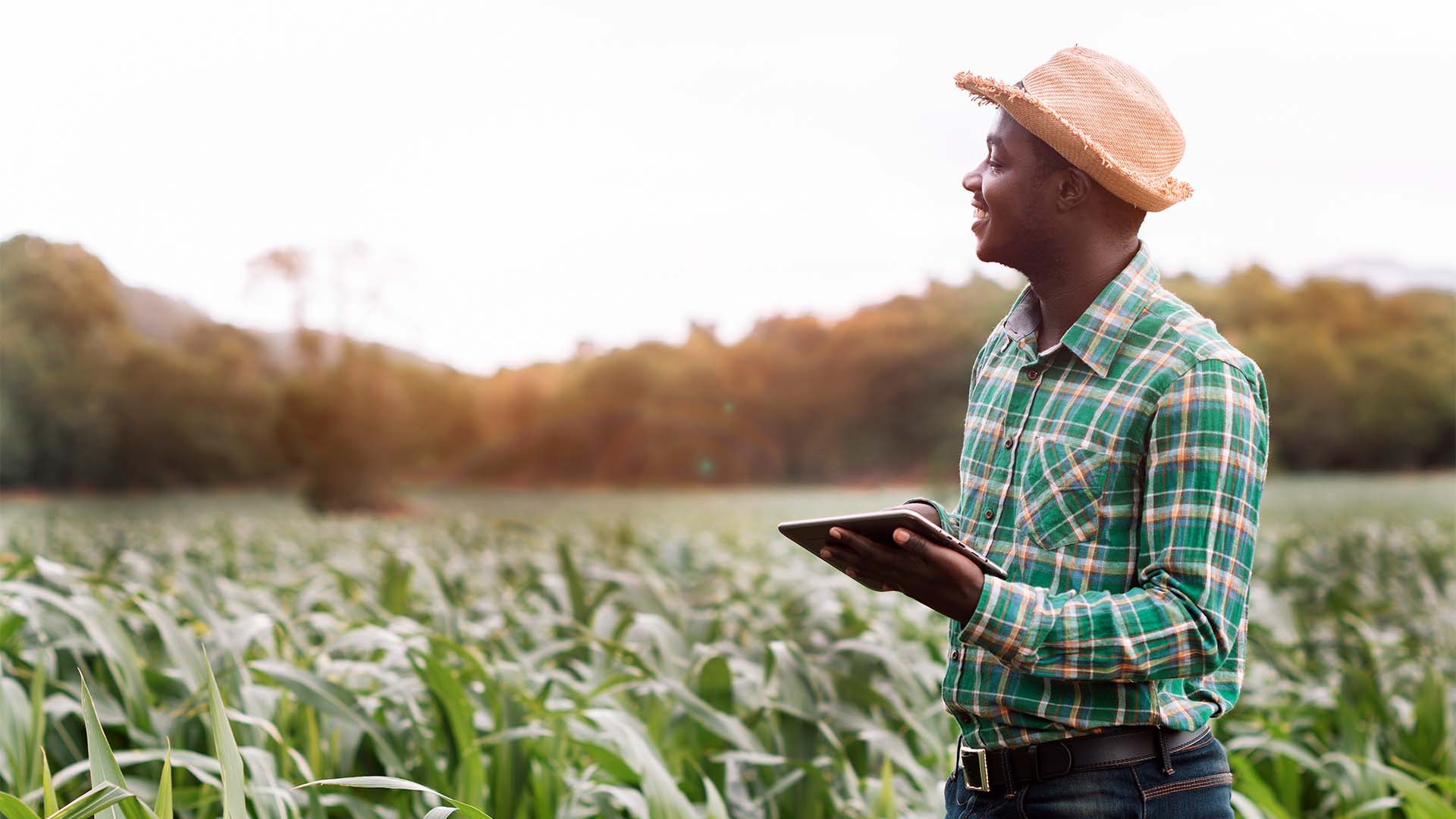 Person holding a tablet in front of agriculture field