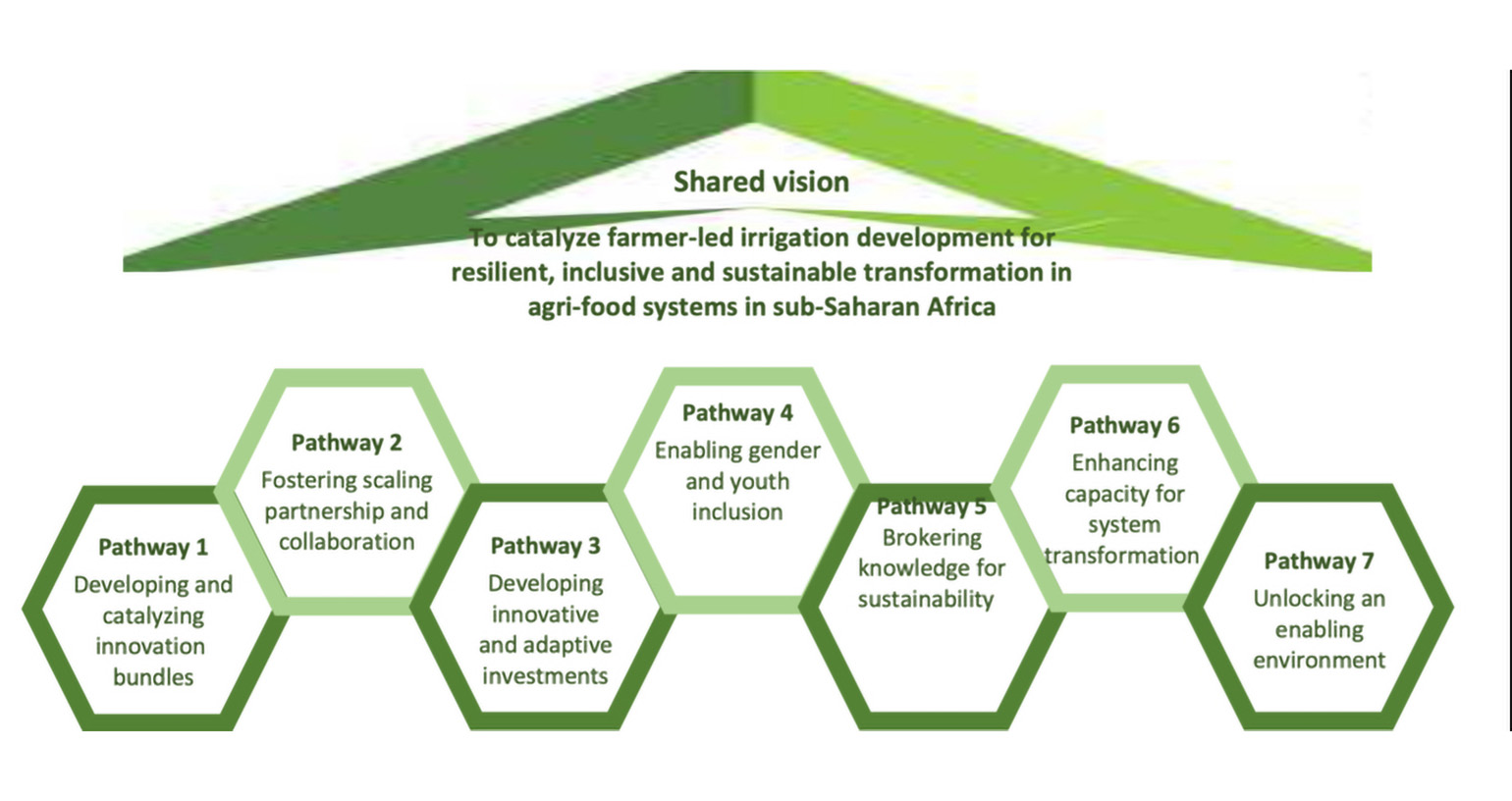 Shared vision infographic