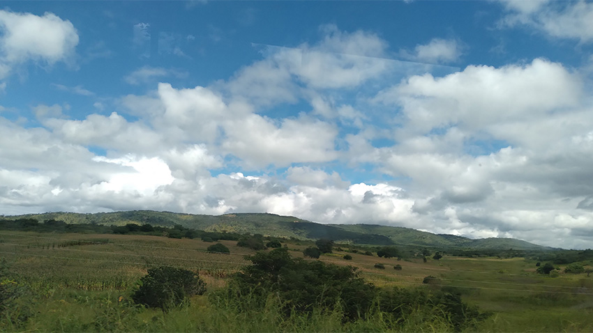 Hills with grass and trees growing and clouds in the sky