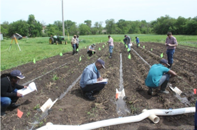 Researcher survey an irrigated field.