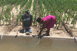 Sarah working with irrigation