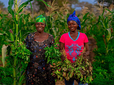 Two people standing in field