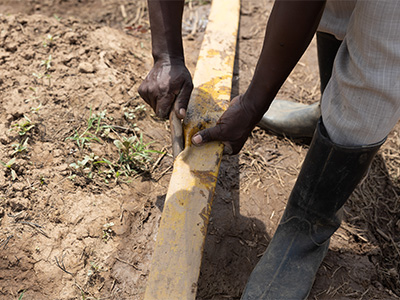 Person working on irrigation pipe