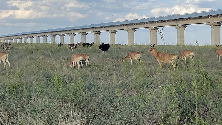 Railway to Mombasa from Nairobi