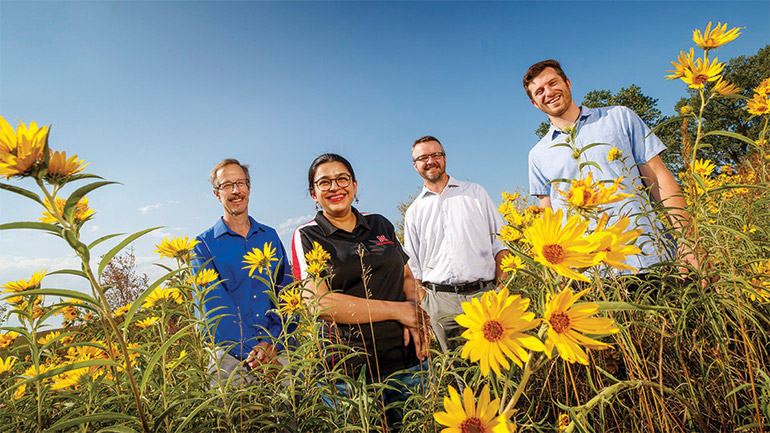 Four people standing in field of yellow flowers