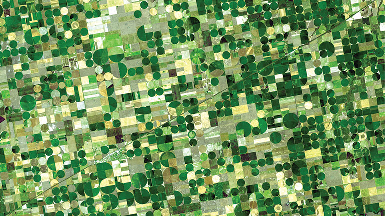 A view of agriculture fields from space