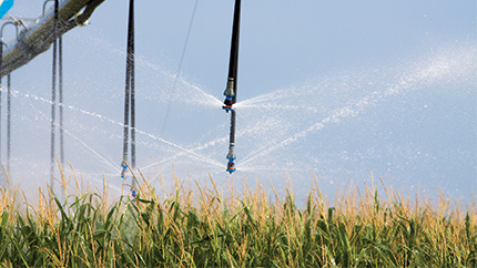 Sprinklers on center pivot