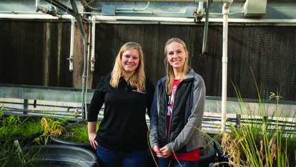 Two people standing in greenhouse