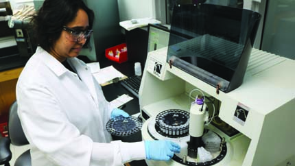 Person working with laboratory equipment