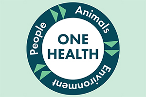 One Health Webinar Graphic