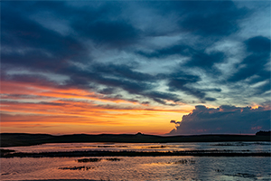 Sunrise over wetlands