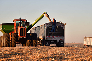 Agriculture harvesting of crops