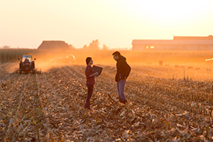 Two people standing in agriculture field talking