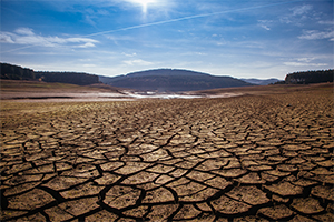 Dry ground with cracks in the sun