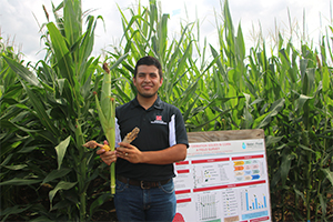 Person standing in front of corn field