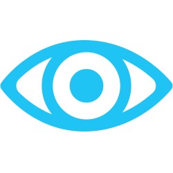 Icon of eye