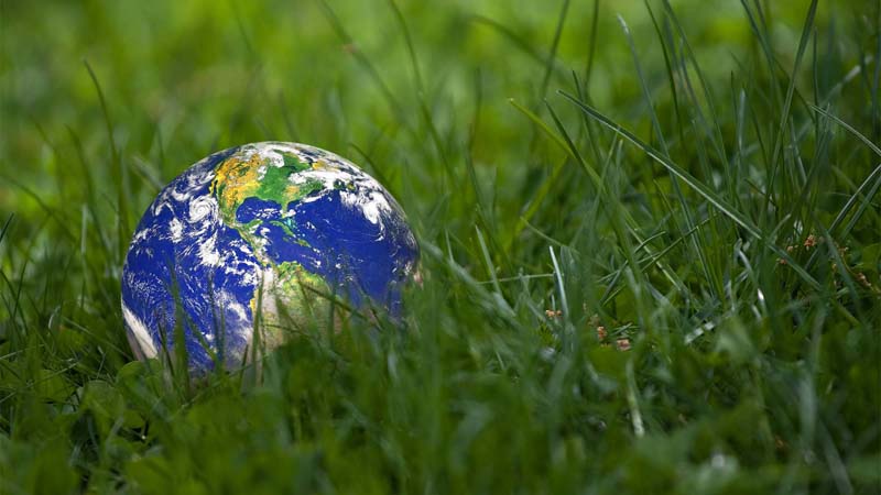 Small globe sitting in grass