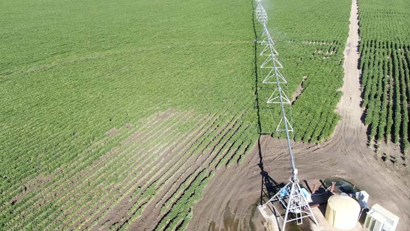 Center pivot in field