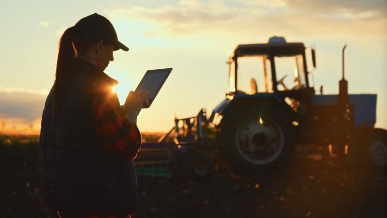 Farming looking at tablet in field