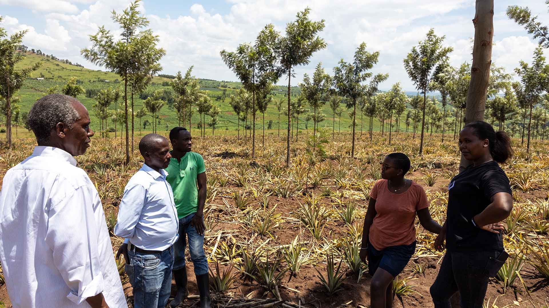 Small group standing outdoors beside field