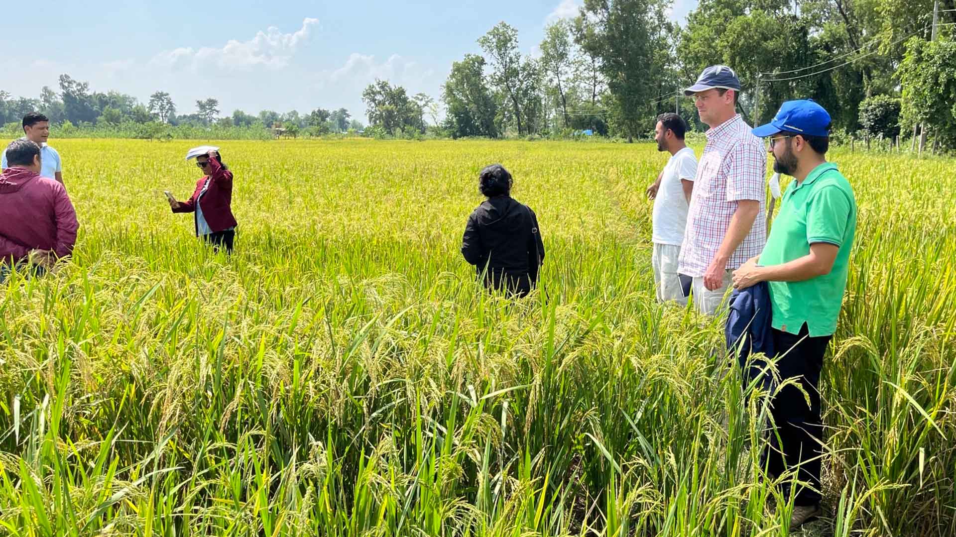 Small group walking in field