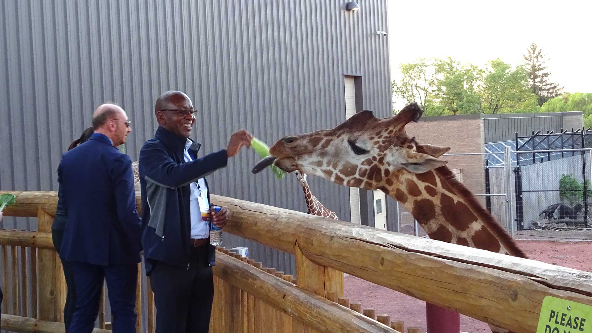 Two people feeding Giraffe