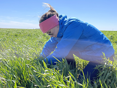 Person working in field