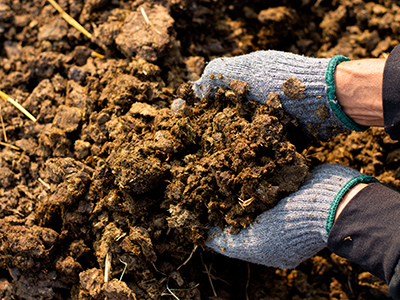 Two hands holding soil