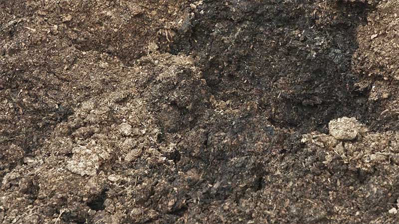 Photo of bare soil