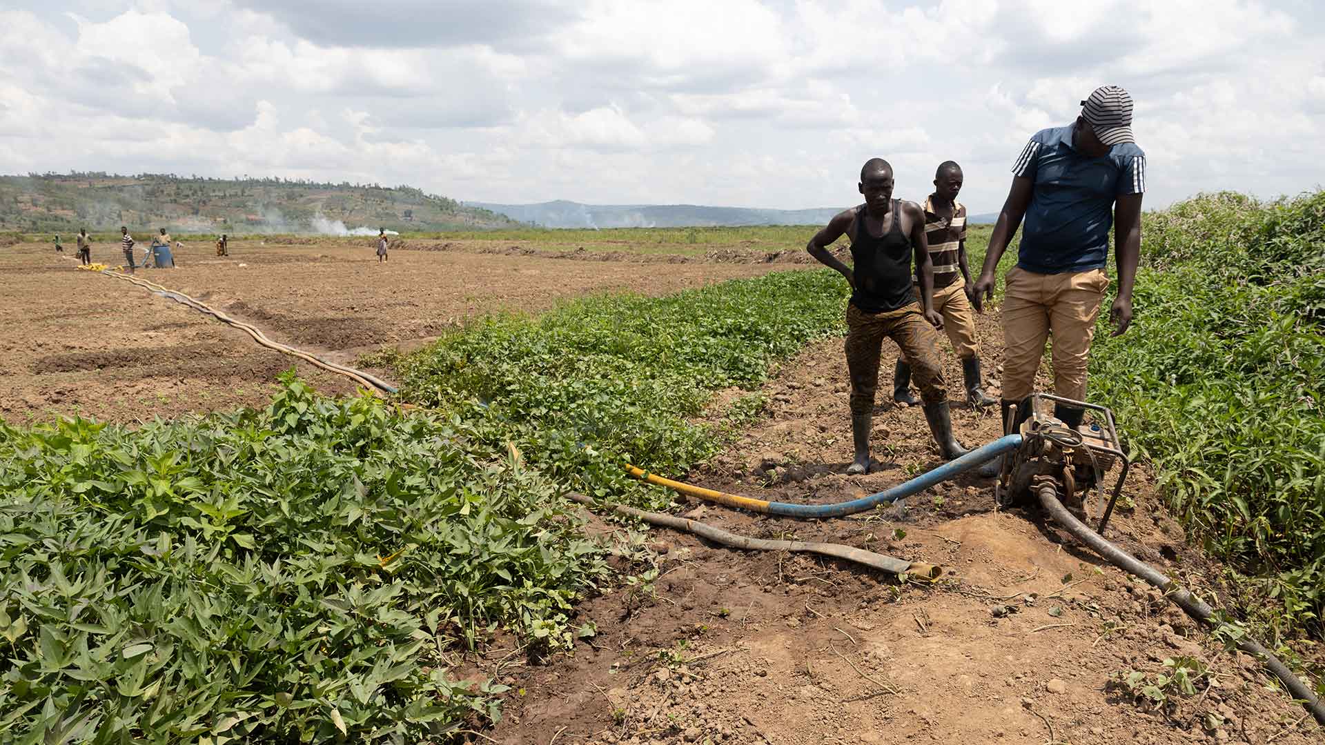 People setting up hoses in field