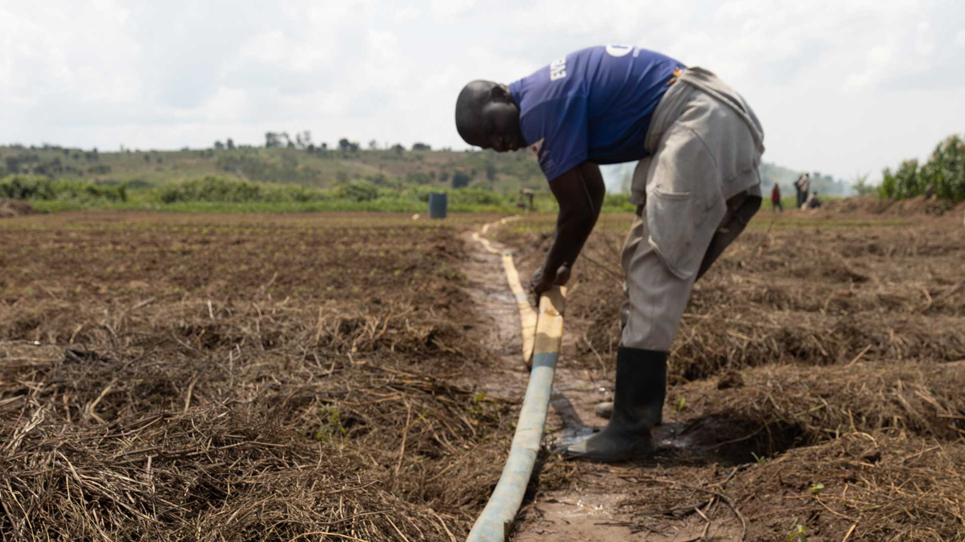 Person working on irrigation hose