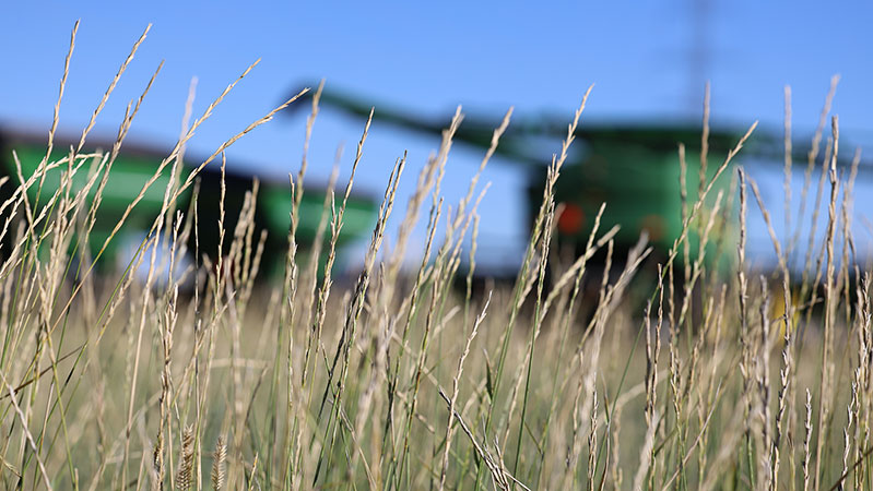 Farm equipment with grass in front