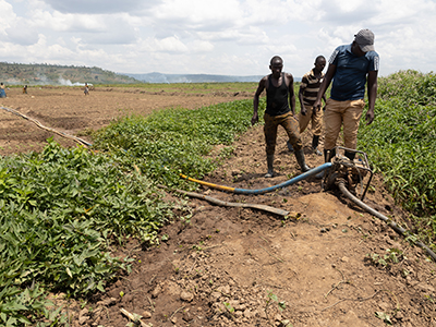 People in field working on water hoses