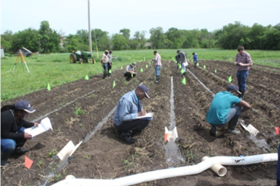 People working and taking notes in a cultivated field with marked test plots, flags, and irrigation pipes.