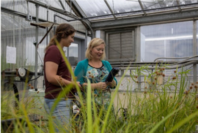 Two women stand in a greenhouse among tall grasses, looking at a clipboard and discussing plants.