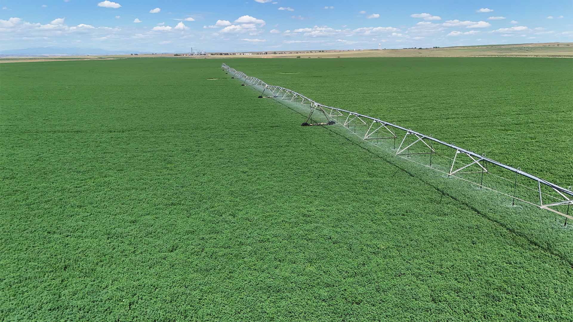 Aerial view of a lush green agricultural field with a long center-pivot irrigation system stretching across it under a blue sky with scattered clouds.