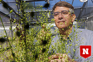 Person looking at plant inside greenhouse