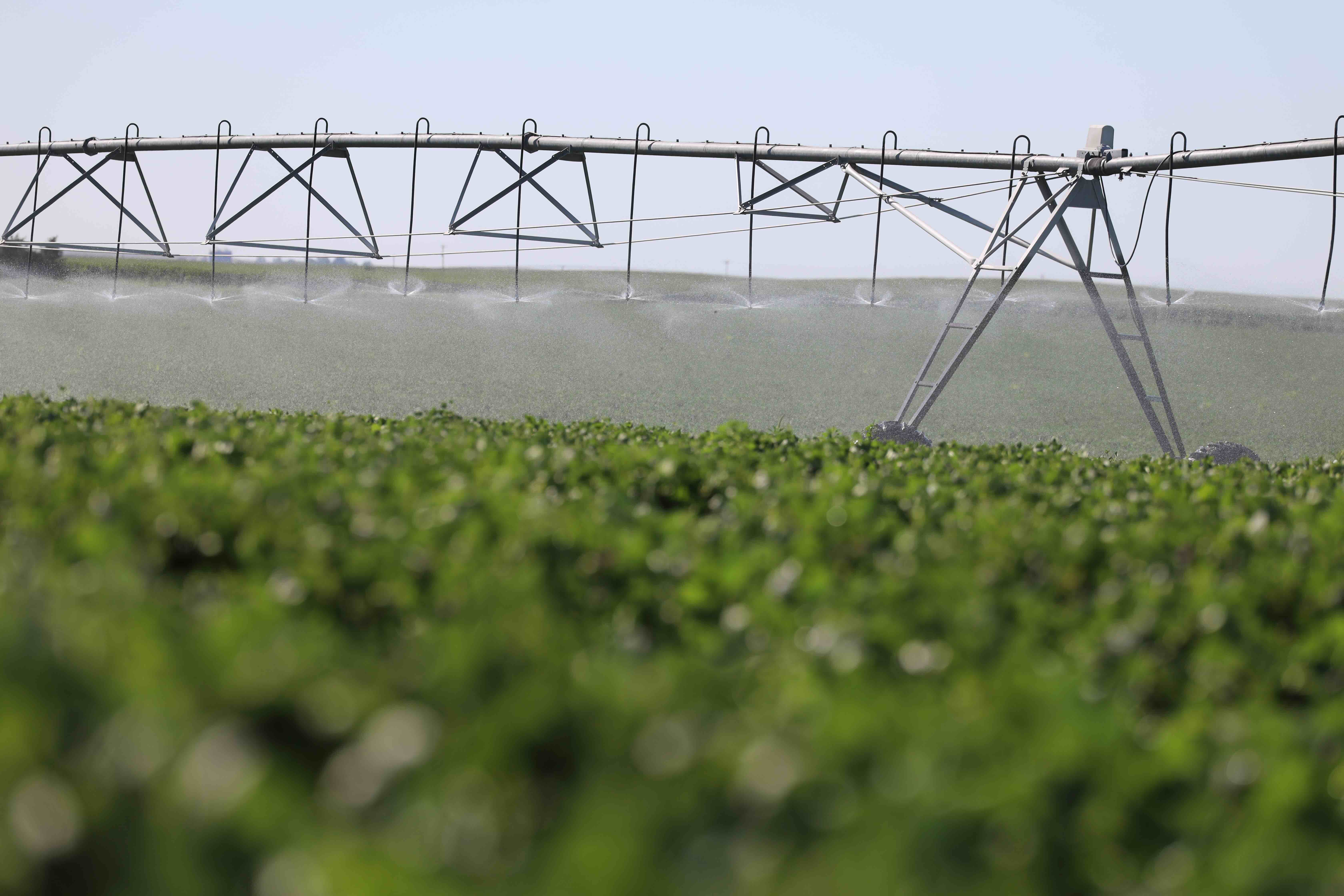 Center-pivot irrigation sprinkler spraying water over a green crop field under a clear sky.