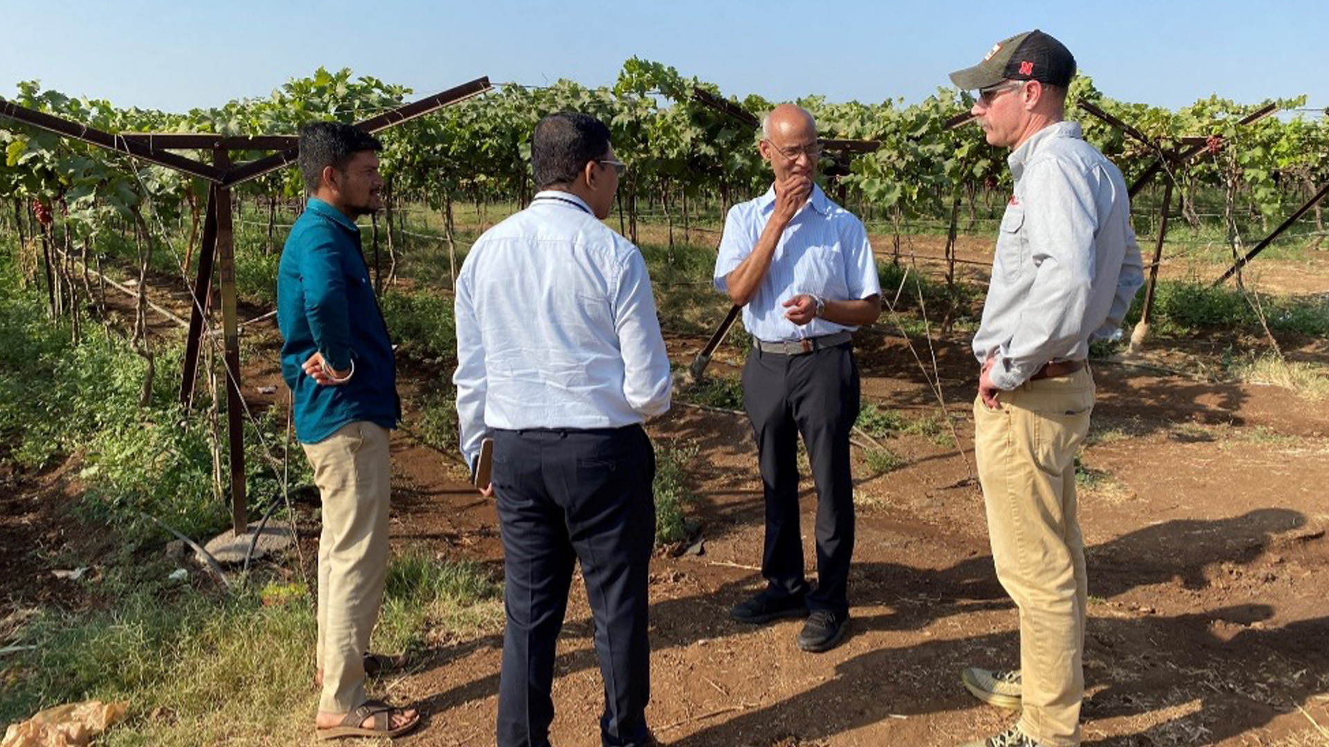 Four men stand and talk in a vineyard between rows of grapevines on a sunny day.