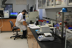 One person working in a laboratory