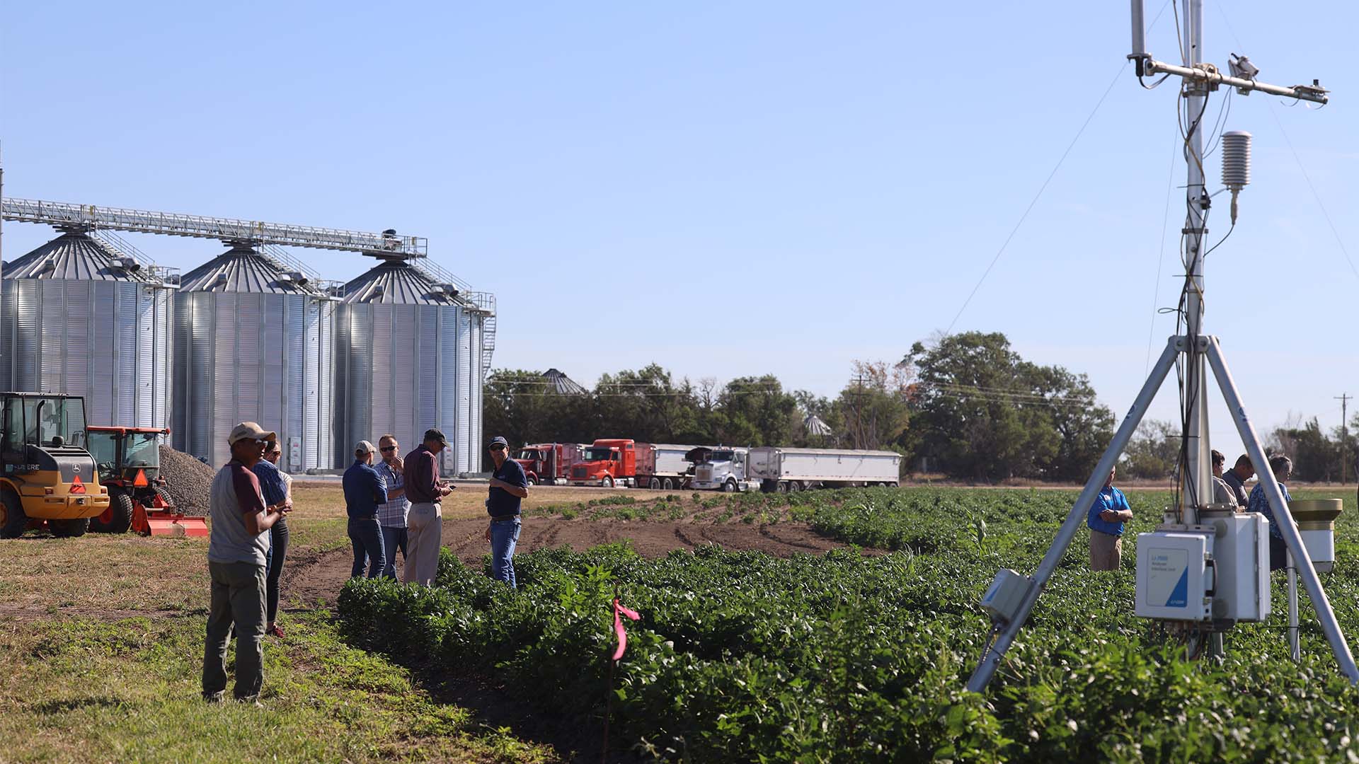 People standing beside field