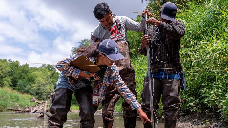 People working together in water