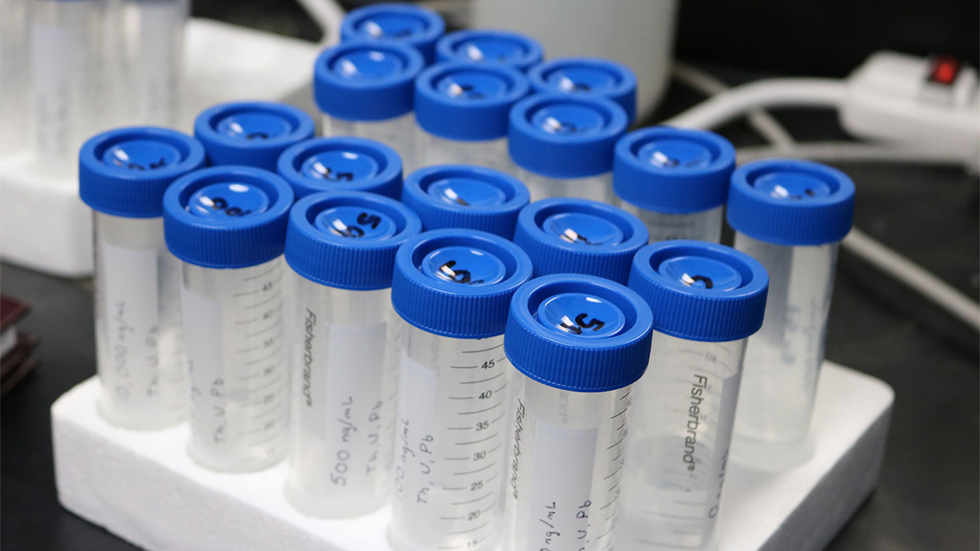 Lab test tubes