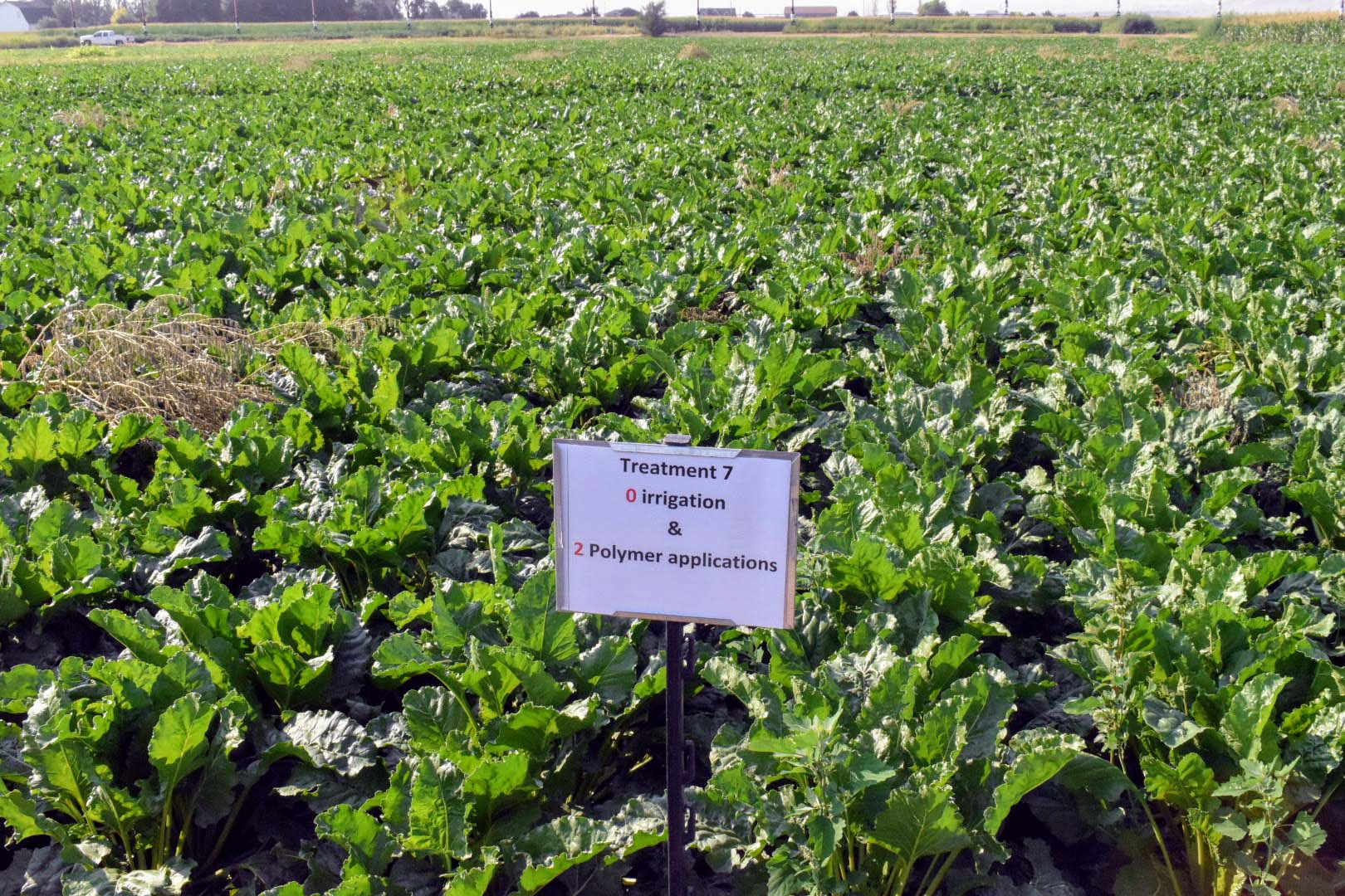 Sign in front of agriculture field