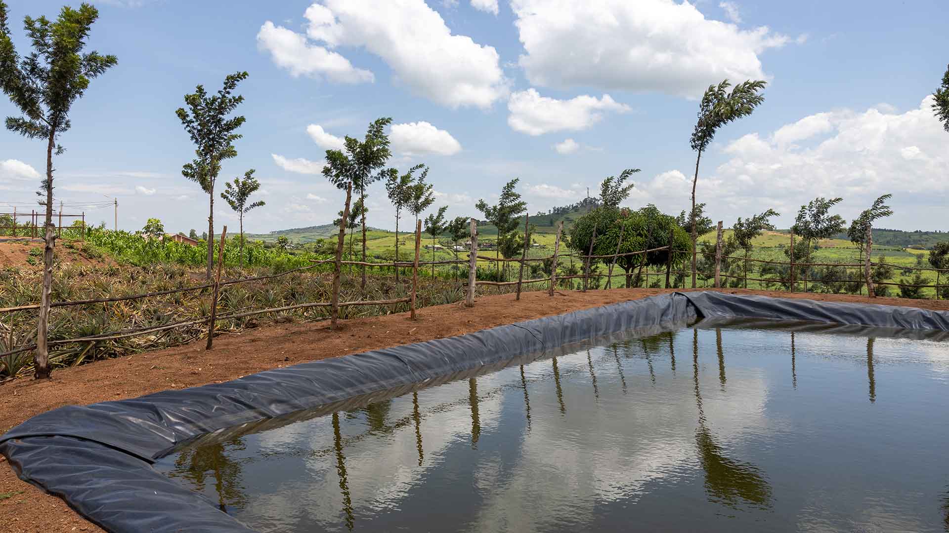 Lake with black liner at edges