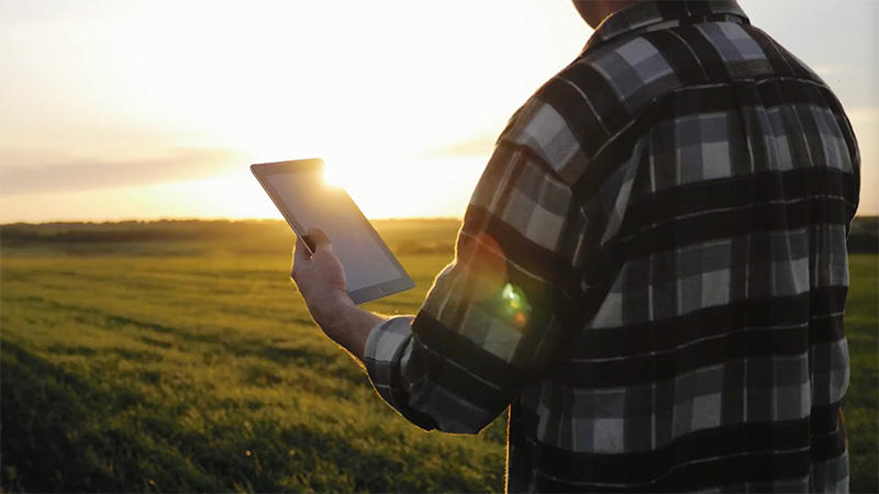 Person looking at tablet in front of field